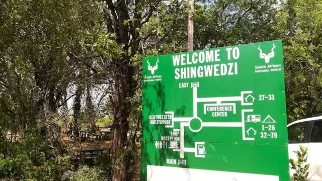 Kruger National Park – Shingwedzi5