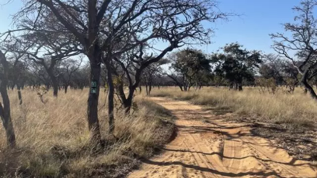 Matamba-Bush-Camp19