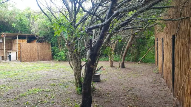 Eden@Kosi-Kamp-1