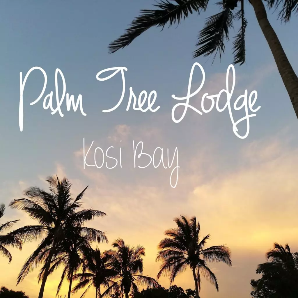 Palm-Tree-Lodge-8