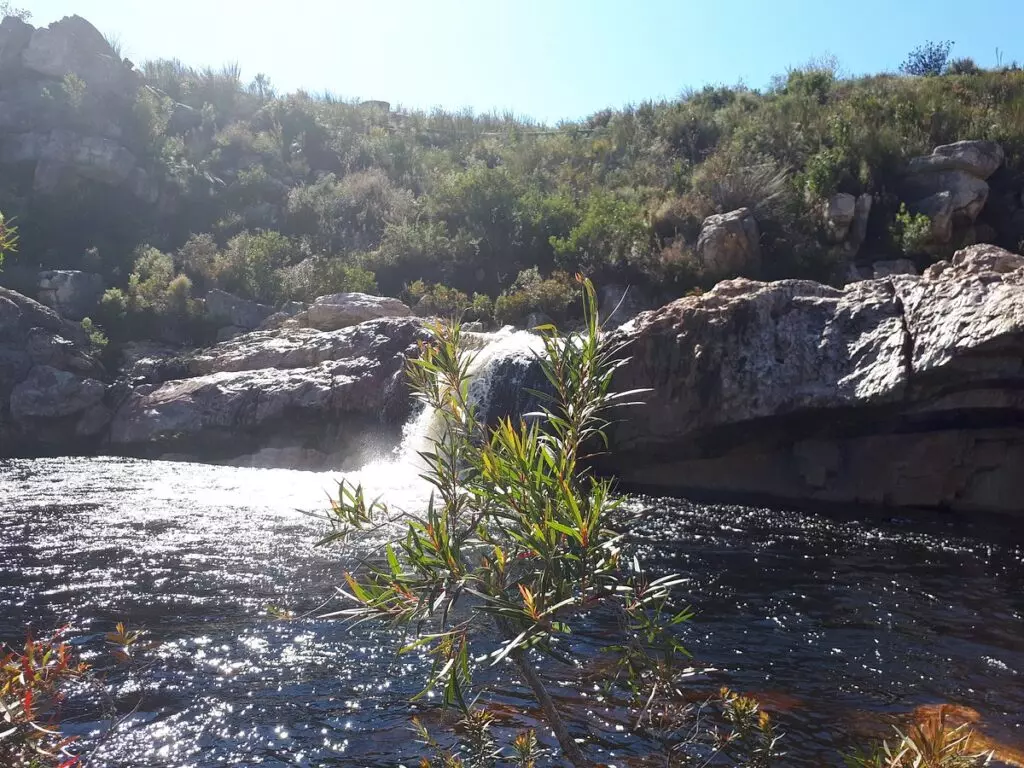 Beaverlac-20