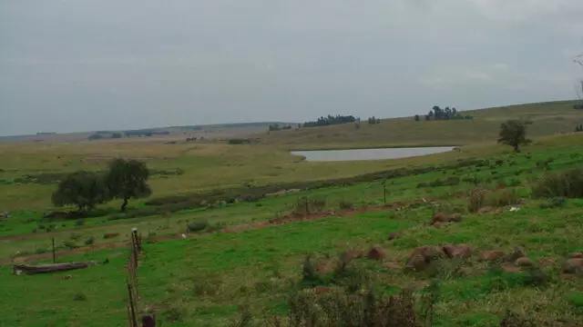 Ermelo-Caravan-Park-1