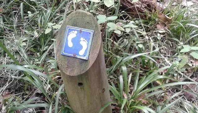 Knysna-Lakes-Section-10