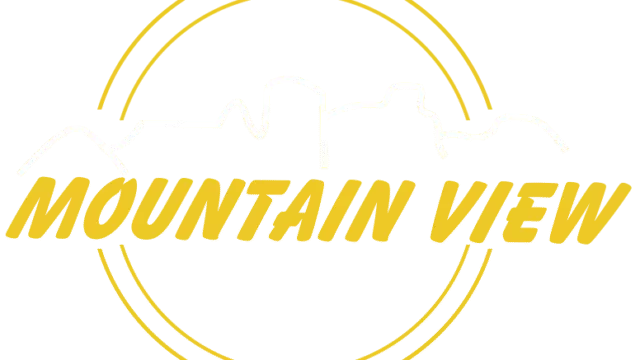 MountainView-logo