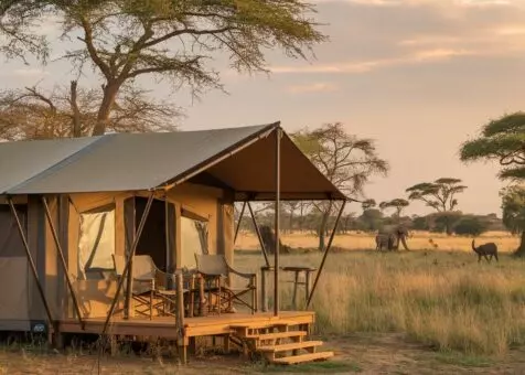 Safari Tent