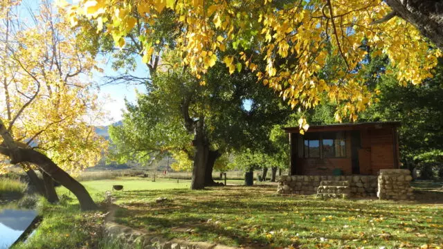 Driehoek-Guest-Farm-8