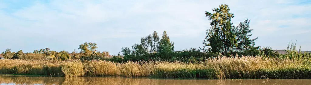 Sitrusoewer-River-Camp-22