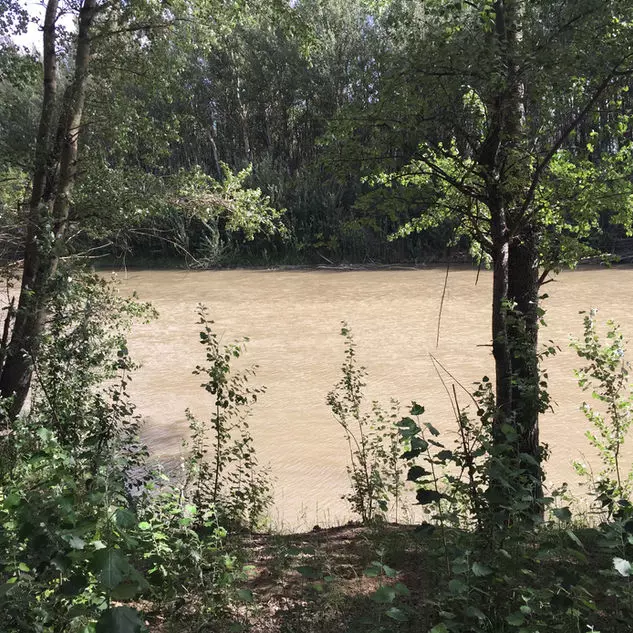 Wilge-River-Bush-Camp-10