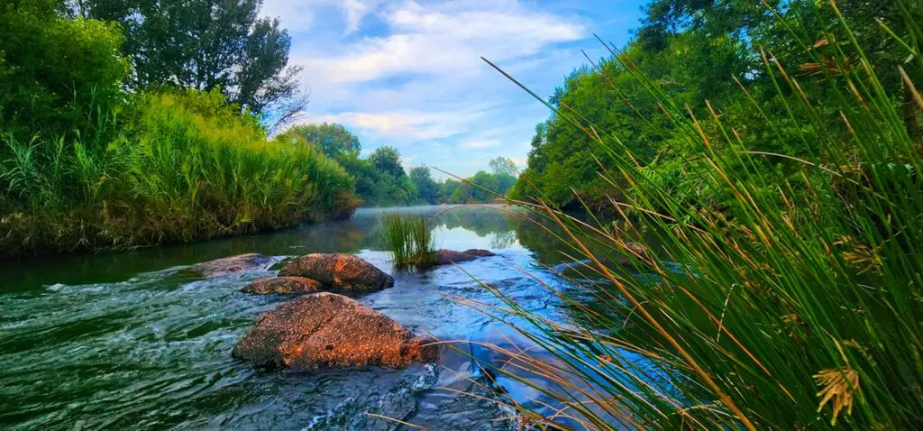 Wilge-River-Bush-Camp-13