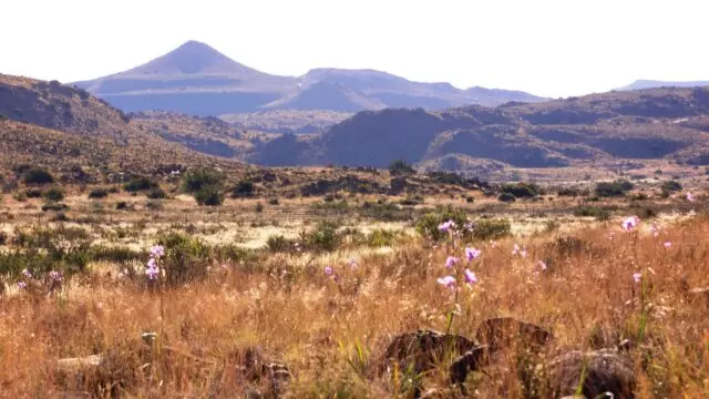 The-Vale-Karoo-Farm-15